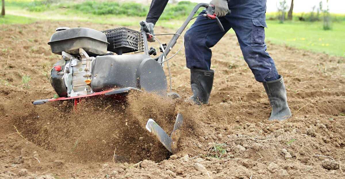 Когда перекапывать огород под зиму. а нужно ли копать огород?