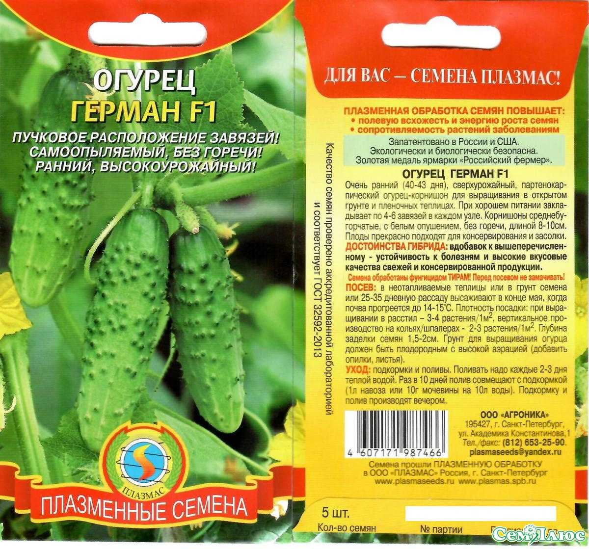 Герман огурцы f1: описание сорта, выращивание в открытом грунте, характеристика
