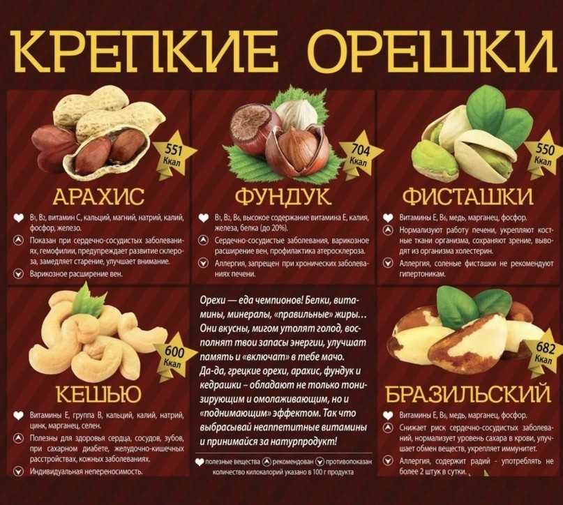 Польза и вред арахиса: свойства для здоровья человека, для организма женщин и мужчин, какой орех лучше - сырой или жареный, сколько нужно съесть