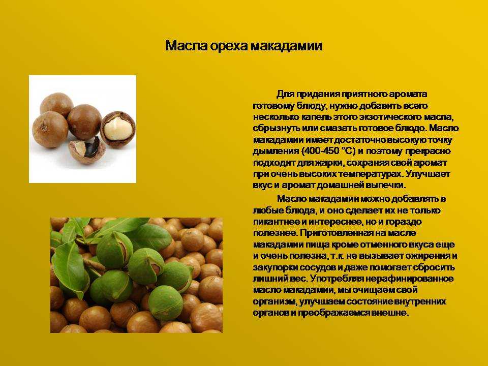 Масло ореха макадамия свойства и применение