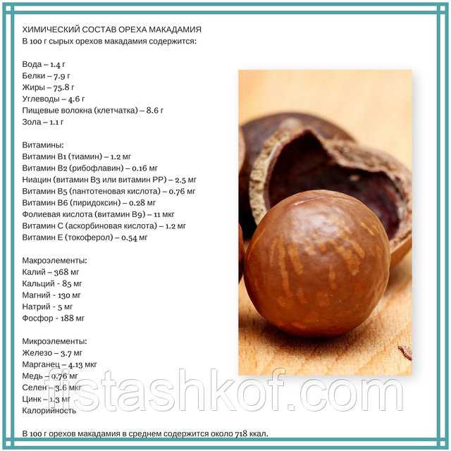 Макадамия орех полезные свойства и противопоказания, как выглядит
