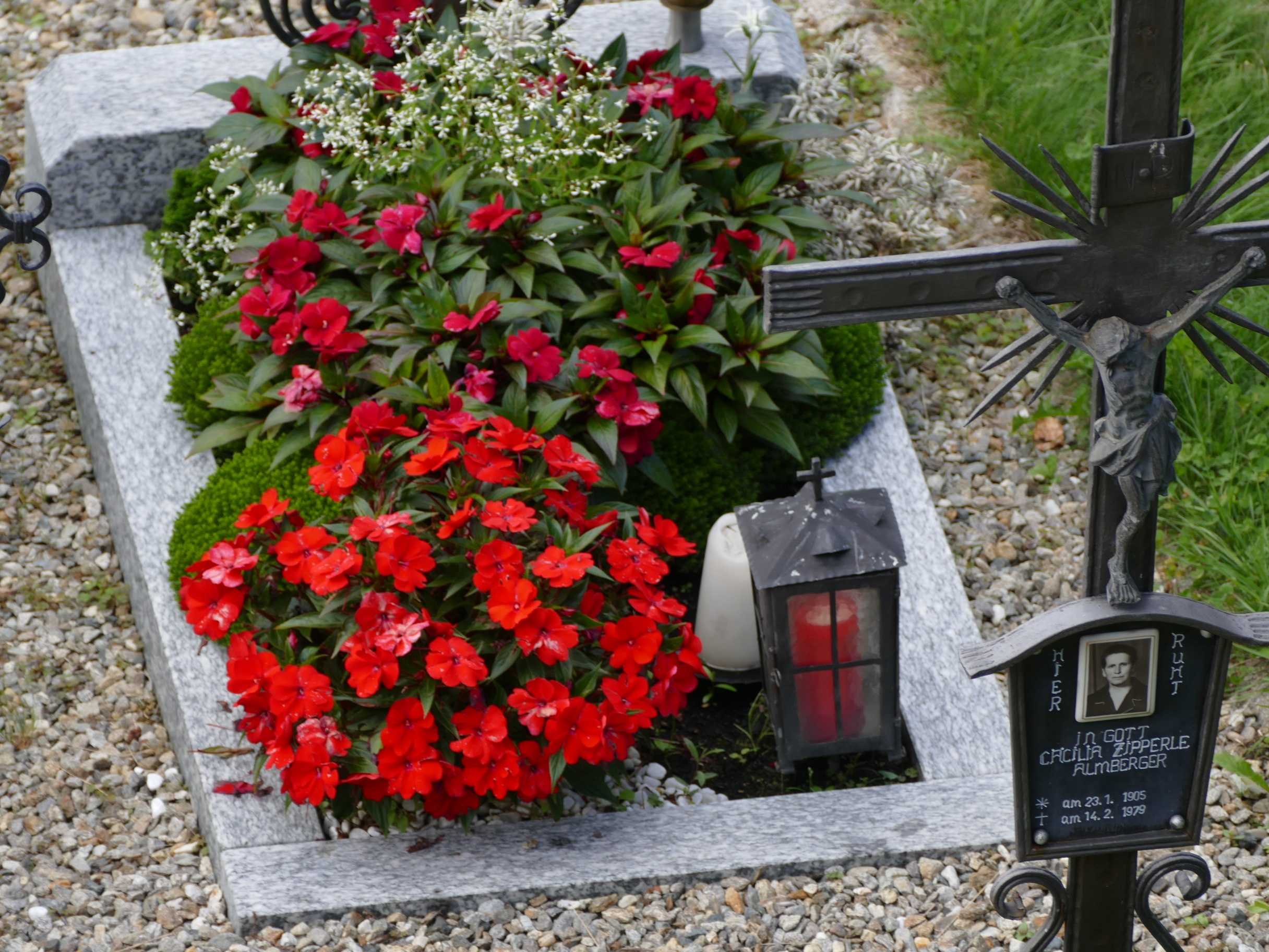 О многолетних цветах на могиле: какие цветы можно сажать на кладбище