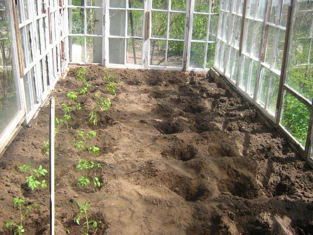 Подготовка теплицы весной к посадке томатов ?: почва для помидоров, как обработать теплицу весной перед посадкой, какую почву любят помидоры, как приготовить грядку, чем обработать парник | qlumba.com