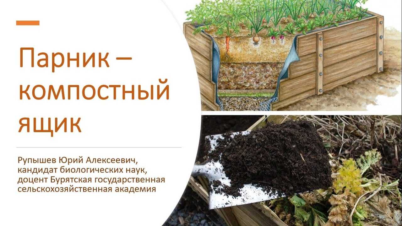 6 действенных способов ускорить созревание компоста