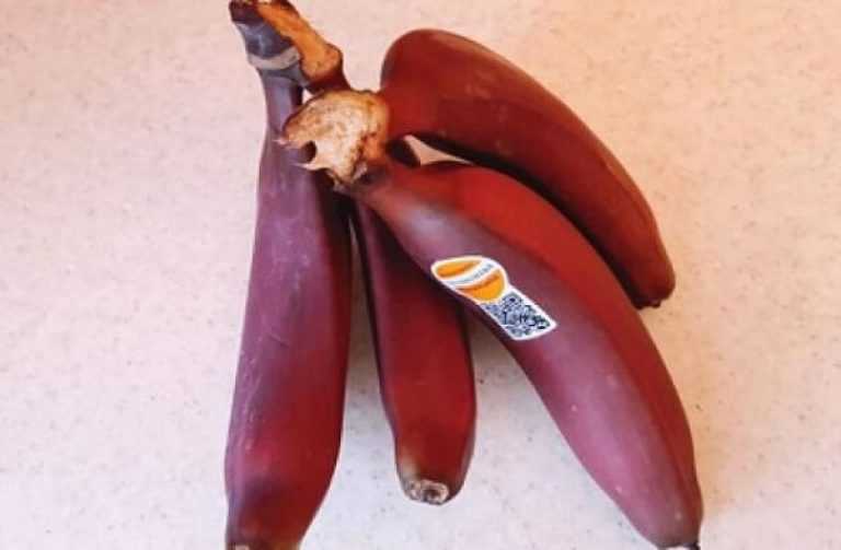 Красные бананы (10 фото): как есть и что с ними делать? - нет инфекции
