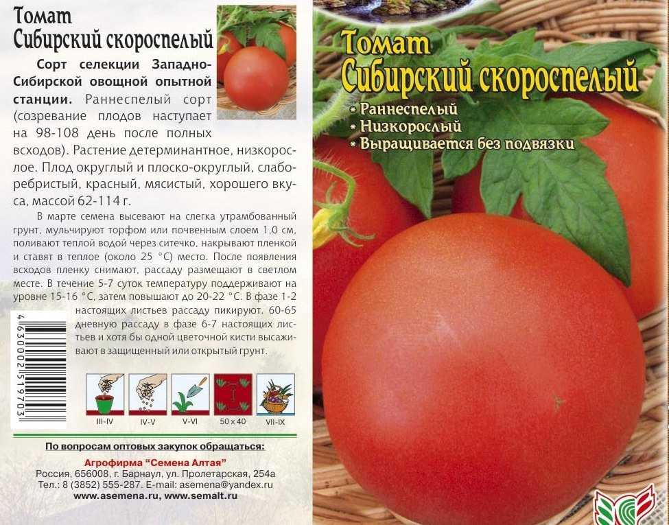 Урожайные томаты сибирской селекции с фото и описанием: топ-20