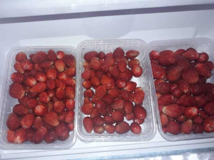 Можно ли замораживать малину свежую — разные способы заморозки ягод