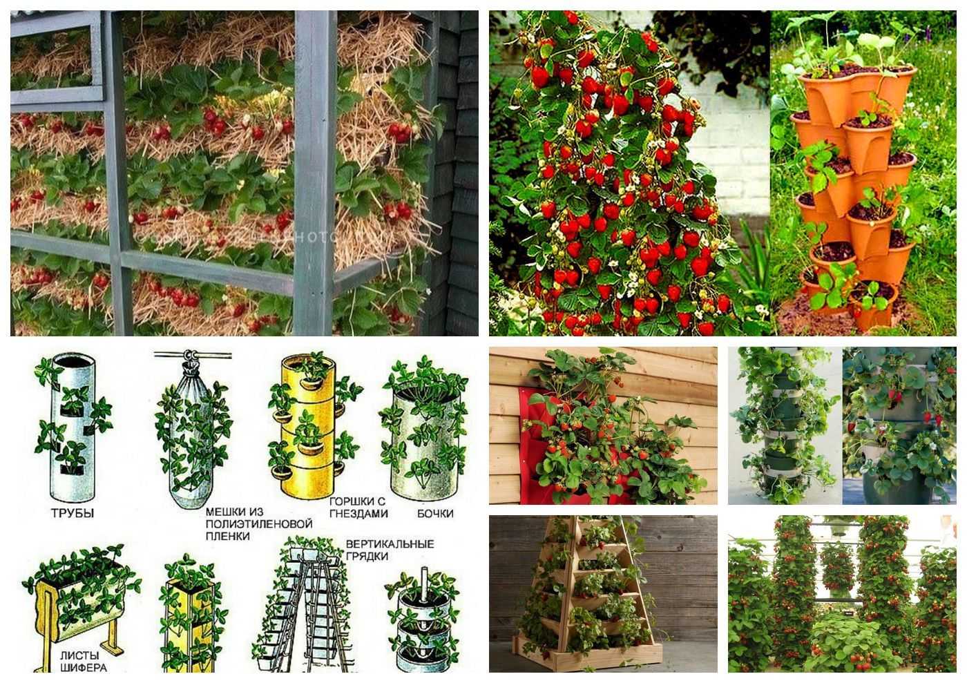 Вертикальные грядки: для овощей, ягод, зелени, цветов | фото