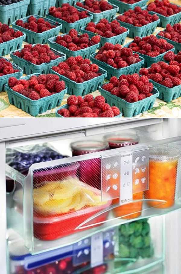 Как заморозить малину на зиму в морозильной камере и в холодильнике: подготовка плодов, этапы заморозки, заготовки с сахаром