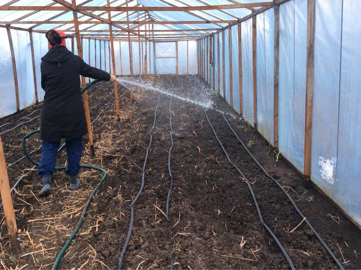 Обработка теплицы от паутинного клеща и тли весной, осенью. перед посадкой овощей в 2021 году