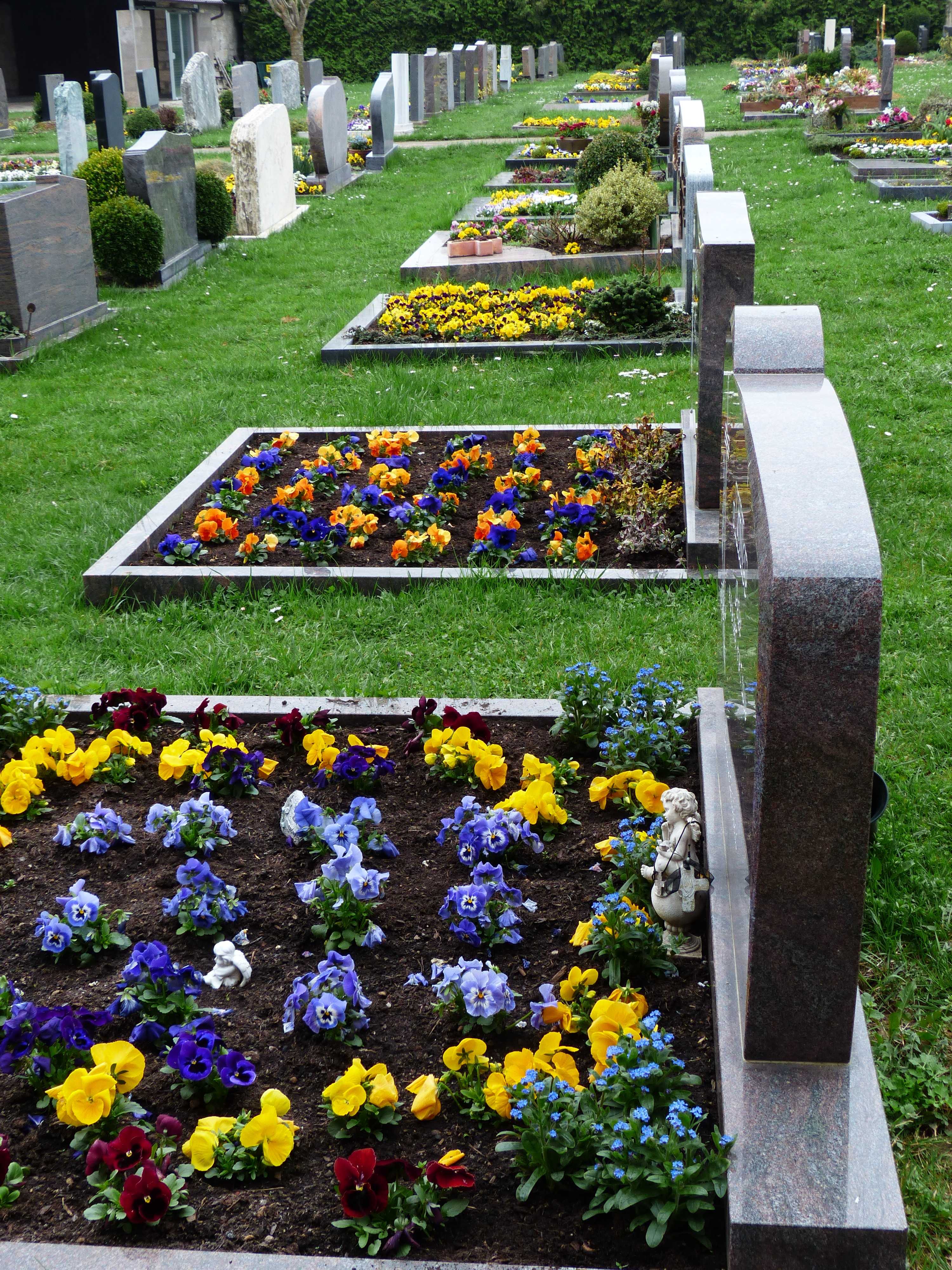Когда надо сажать живые цветы на могиле: какие цветы надо сажать на кладбище