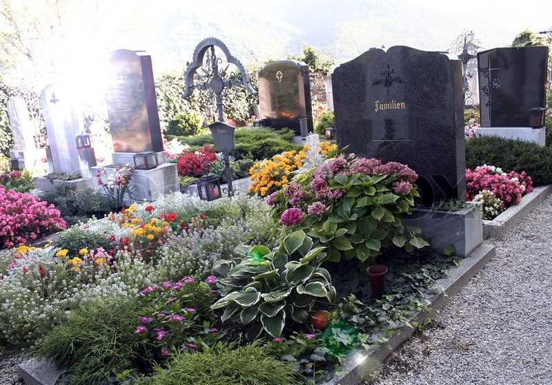 Что сажают на кладбище многолетние