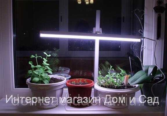 Подсветка для рассады: полезные виды для роста цвета, способы увеличить освещённость своими руками