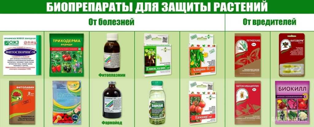 Биопрепараты для борьбы с вредителями и болезнями растений — floraprice.ru