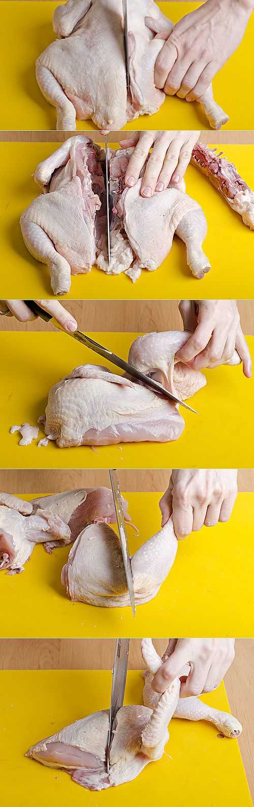 Как правильно и быстро разделать курицу на части (порционные куски), схема разделки