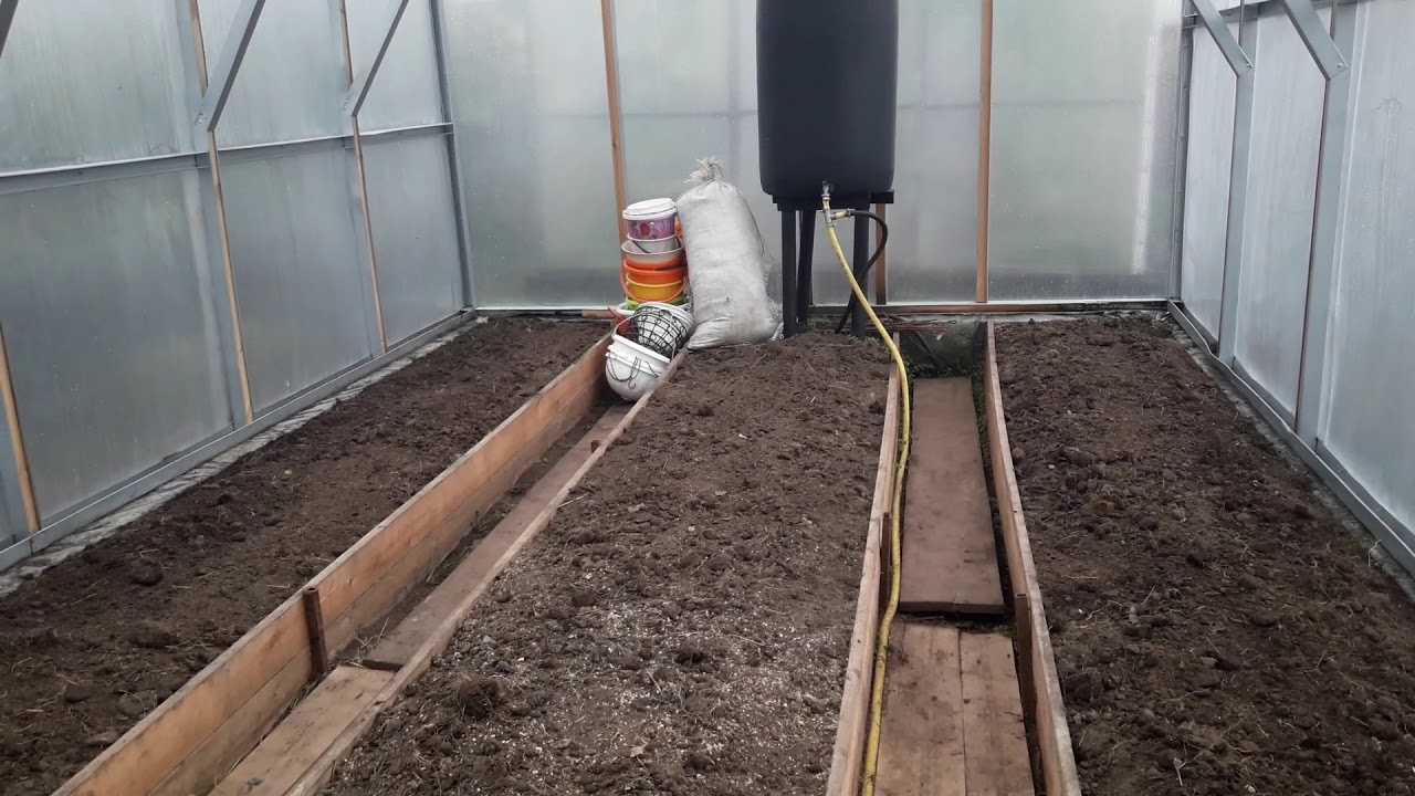 Особенности подготовки почвы в теплице под помидоры: как правильно сделать грядки