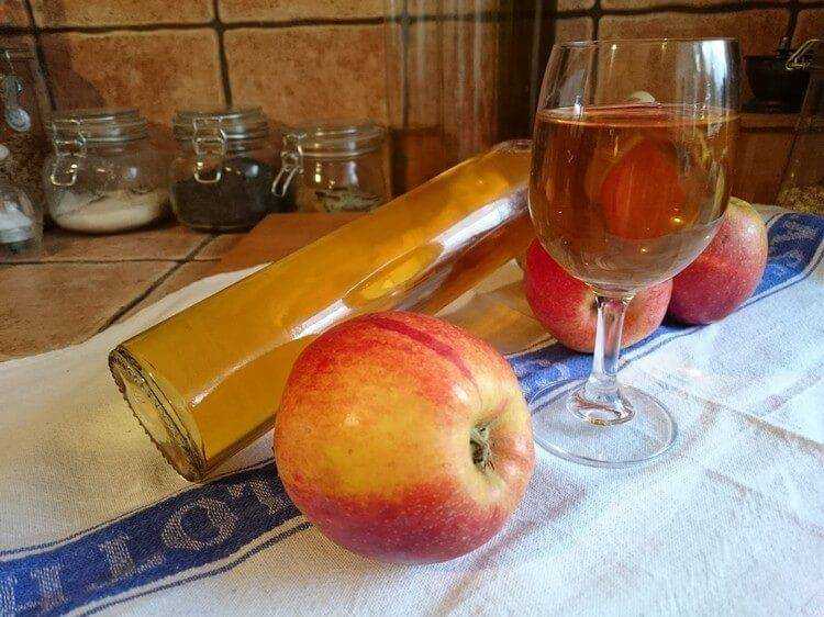 14 рецептов яблочного сидра в домашних условиях: лучшие из лучших