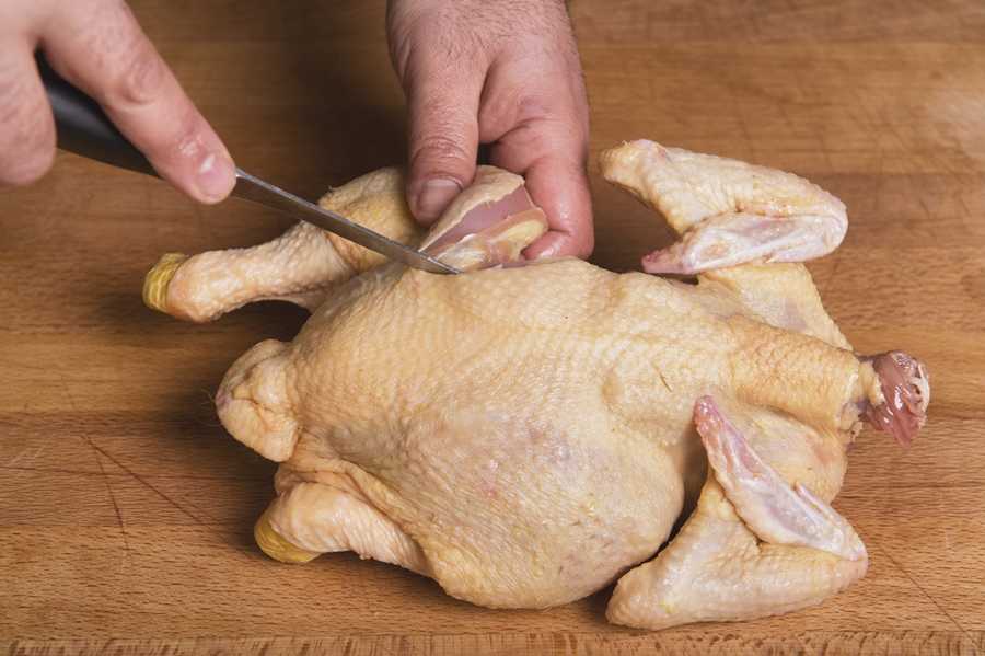 Как разделать курицу правильно на части и порционные куски (схема)