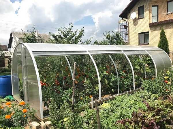 Отзывы садоводов о теплице Тюльпан Антишторм с открывающейся крышей и боками Монтаж теплицы, подробные характеристики