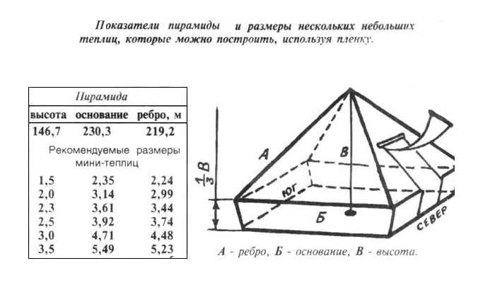 Теплица пирамида своими руками из поликарбоната чертежи: пирамидальной размеры, отзывы и виды, золотое сечение