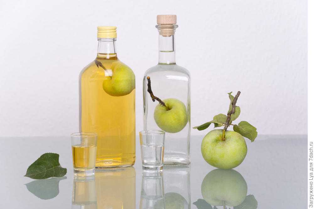 Алкогольные напитки из яблок — сидр и не только