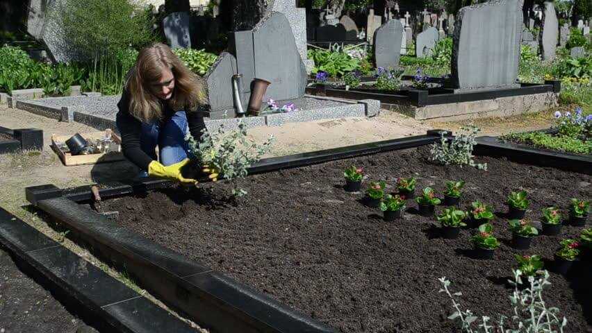 Как избавиться от травы на кладбище навсегда, средства от сорняков