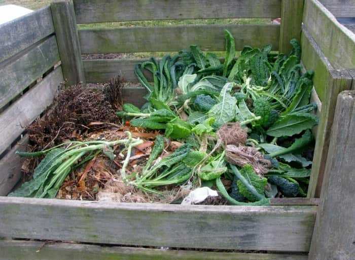 6 действенных способов ускорить созревание компоста