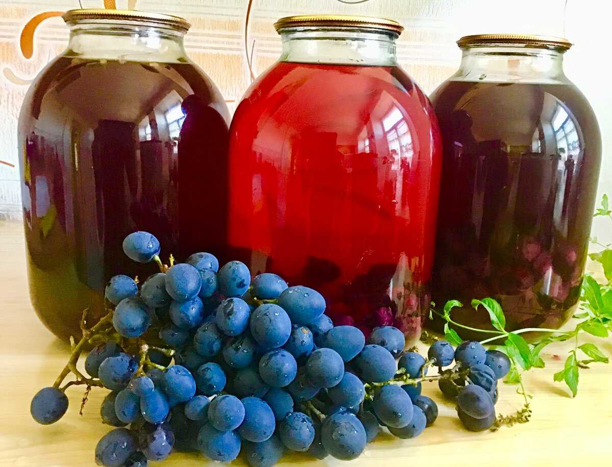 Как приготовить компот из винограда изабелла в домашних условиях