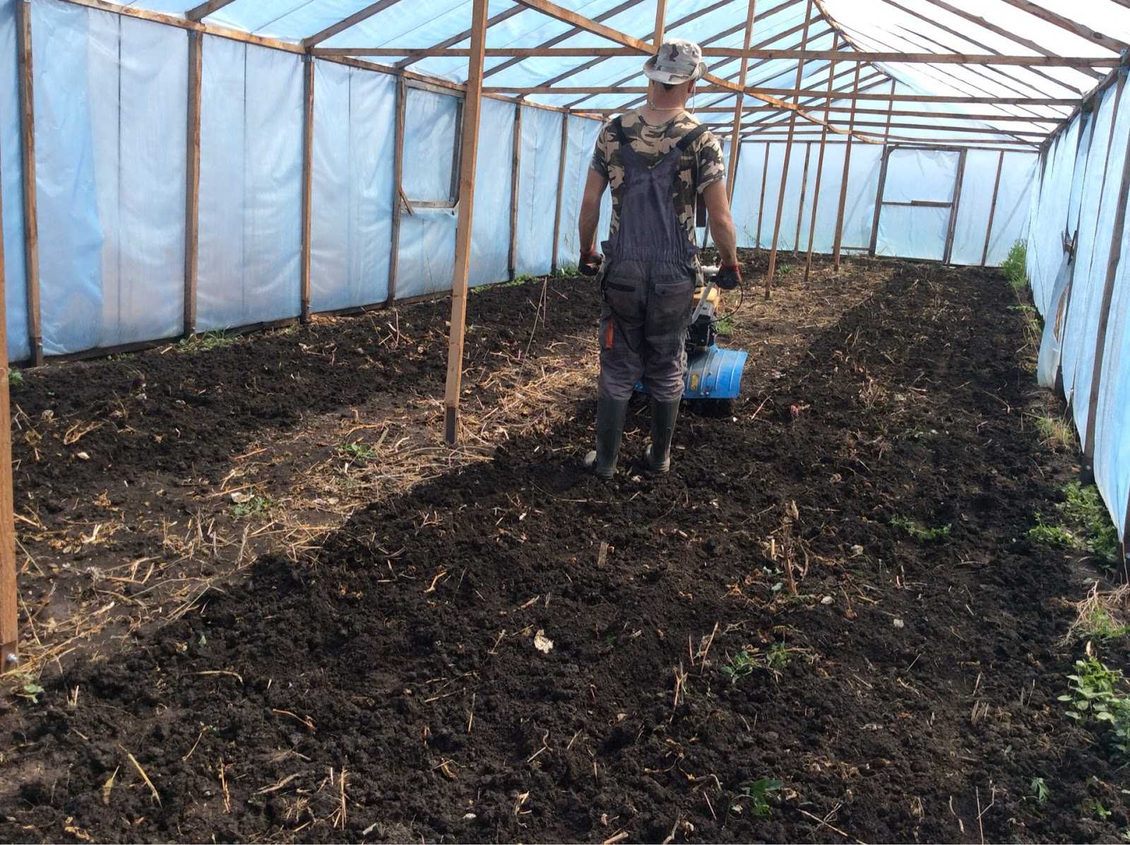 Подготовка теплицы весной (осенью) к посадке томатов – обработка, внесение удобрений в почву