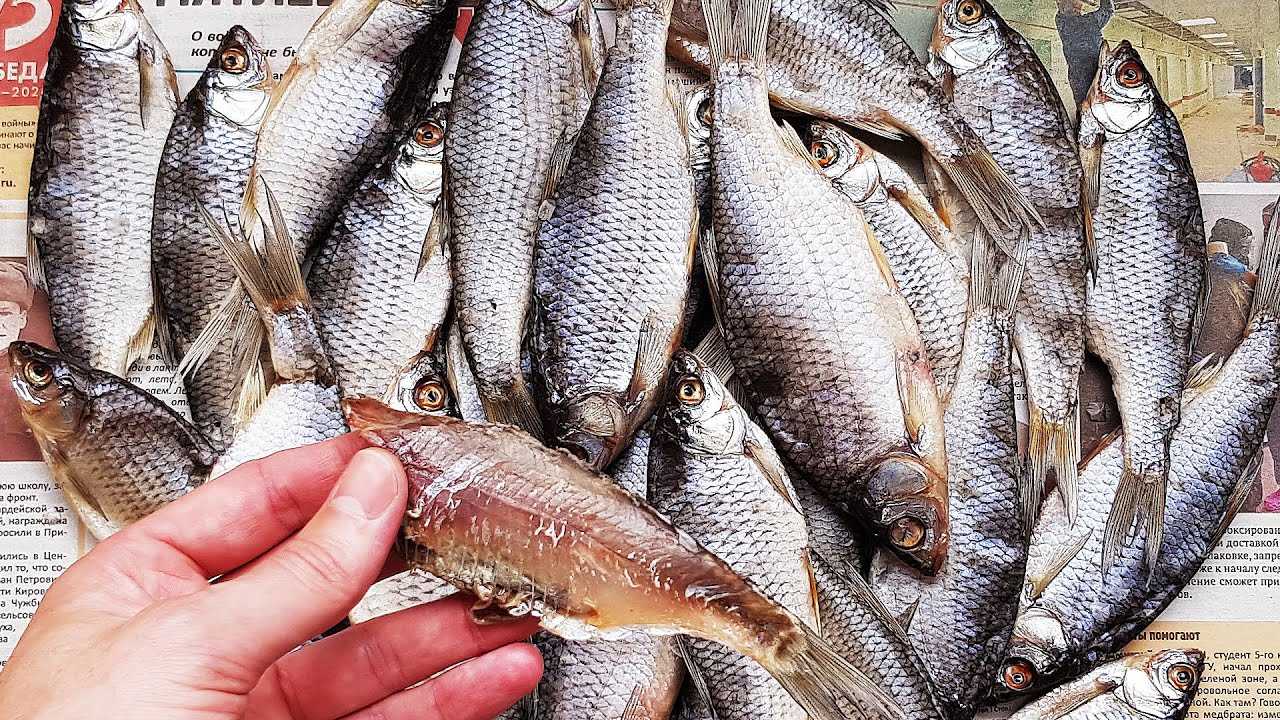 Вяленая плотва - рецепт от астраханских рыбаков