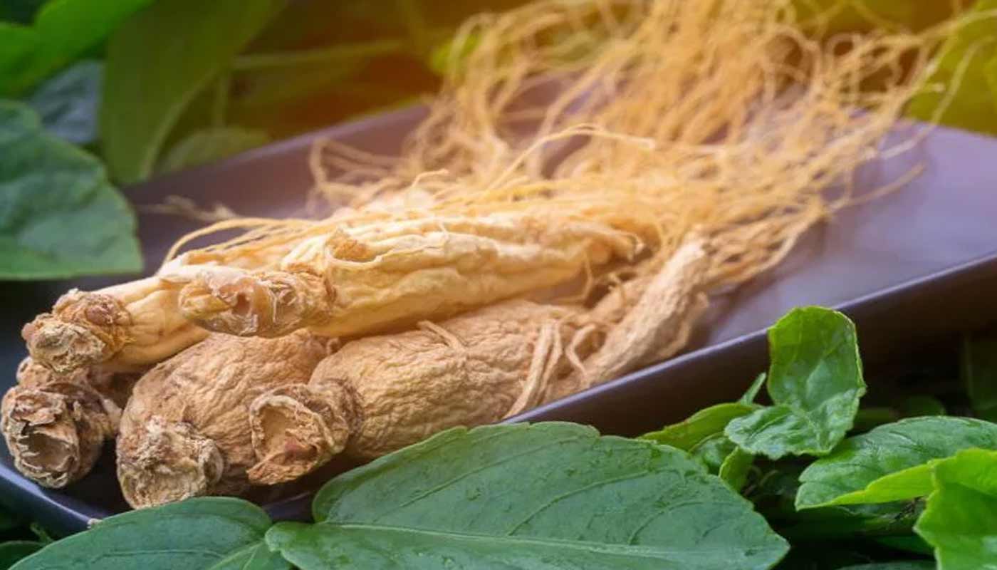 7 чудесных свойств женьшеня — главного растения в китайской медицине