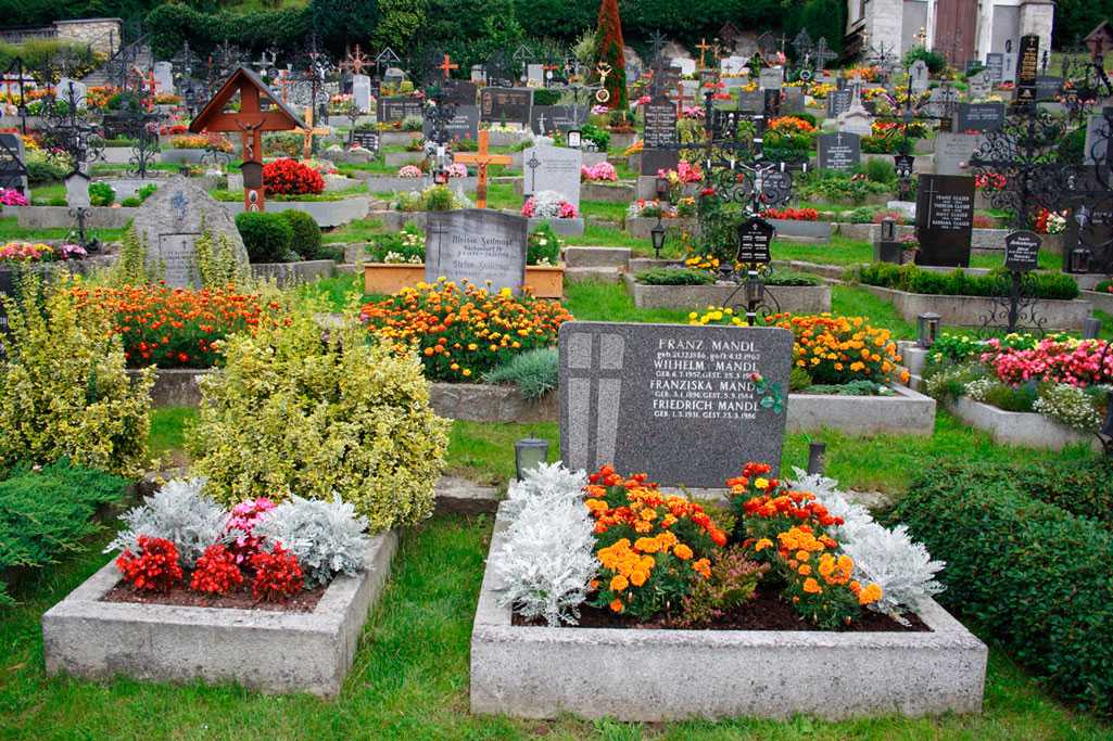 ✅ о многолетних цветах на могиле: какие цветы можно сажать на кладбище