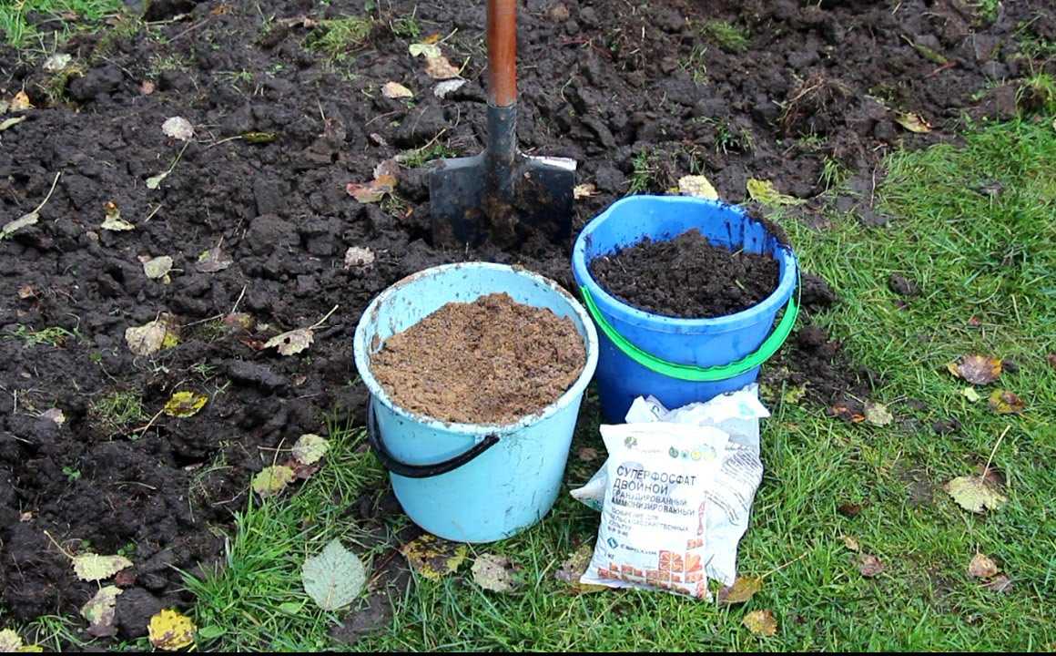 Как избавиться от травы на поле картофельном. как убрать с участка, огорода | дачная жизнь