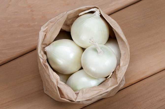 Белый лук: сорта, польза и вред, выращивание