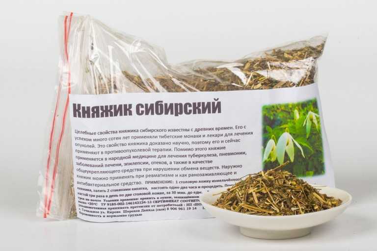 Княжик сибирский: лечебные свойства и противопоказания, применение в народной медицине