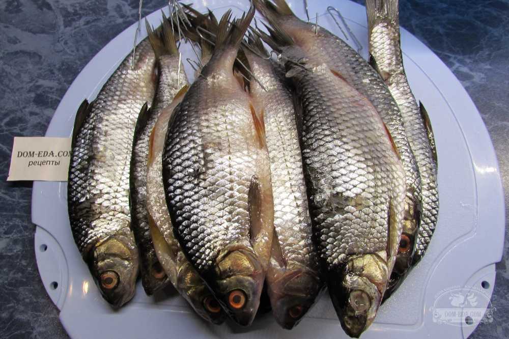 Как правильно вялить и сушить рыбу в домашних условиях: советы рыбаков, которые помогут не допустить ошибок