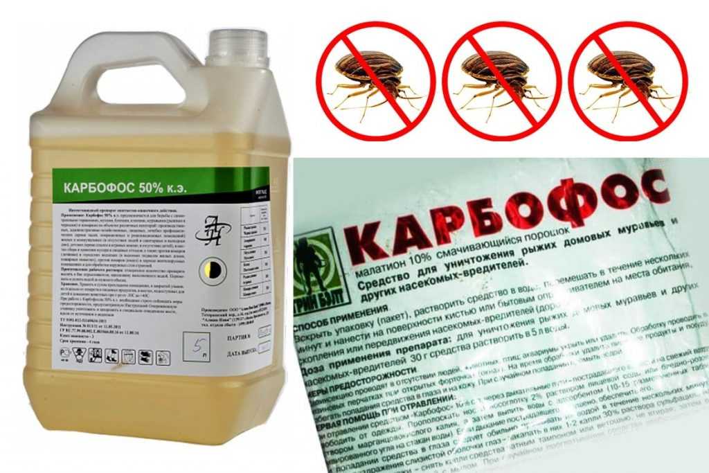 Инсектициды и акарициды - препараты для борьбы с вредителями и болезнями растений