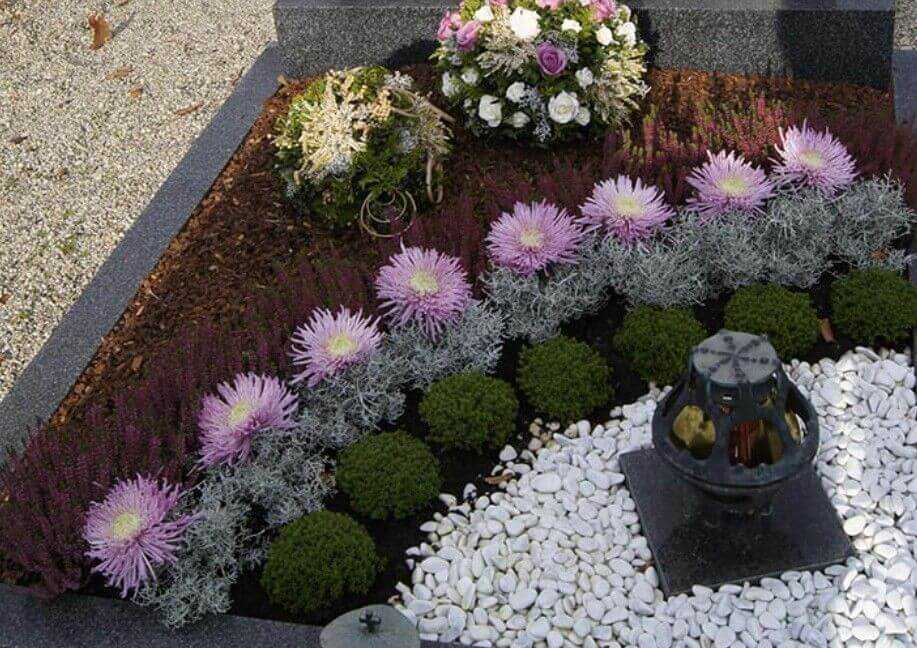 Цветы памяти. растения, которые можно посадить на могиле. что посадить на кладбище? фото — ботаничка.ru