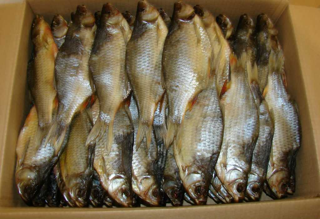 Как вялить рыбу: все о процессе от «а» до «я» или учимся правильно сушить рыбу в домашних условиях