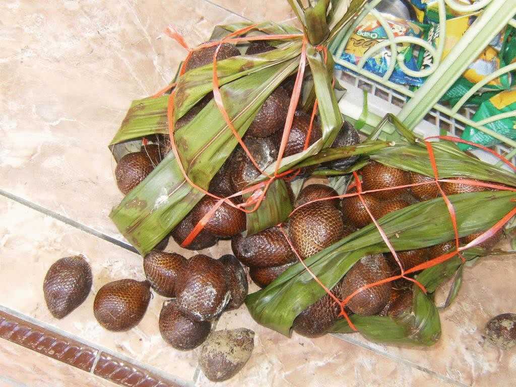 Асаи, или эвтерпа овощная — капустная пальма