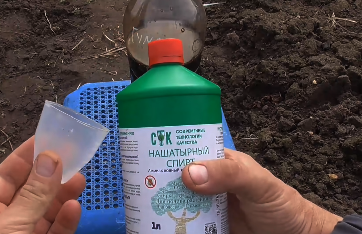 Нашатырный спирт в огороде – применение: антисептик или азотная подкормка для растений