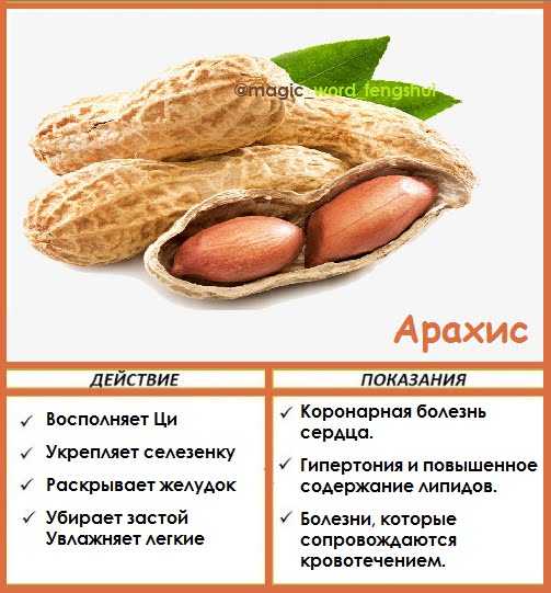 Арахис - вред и польза для организма женщин и мужчин, свойства земляного ореха и противопоказания