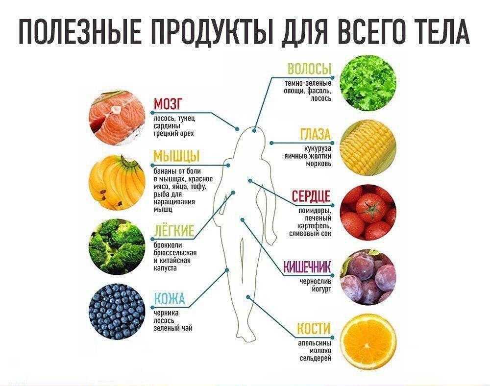 Редис: описание и польза корнеплода | food and health