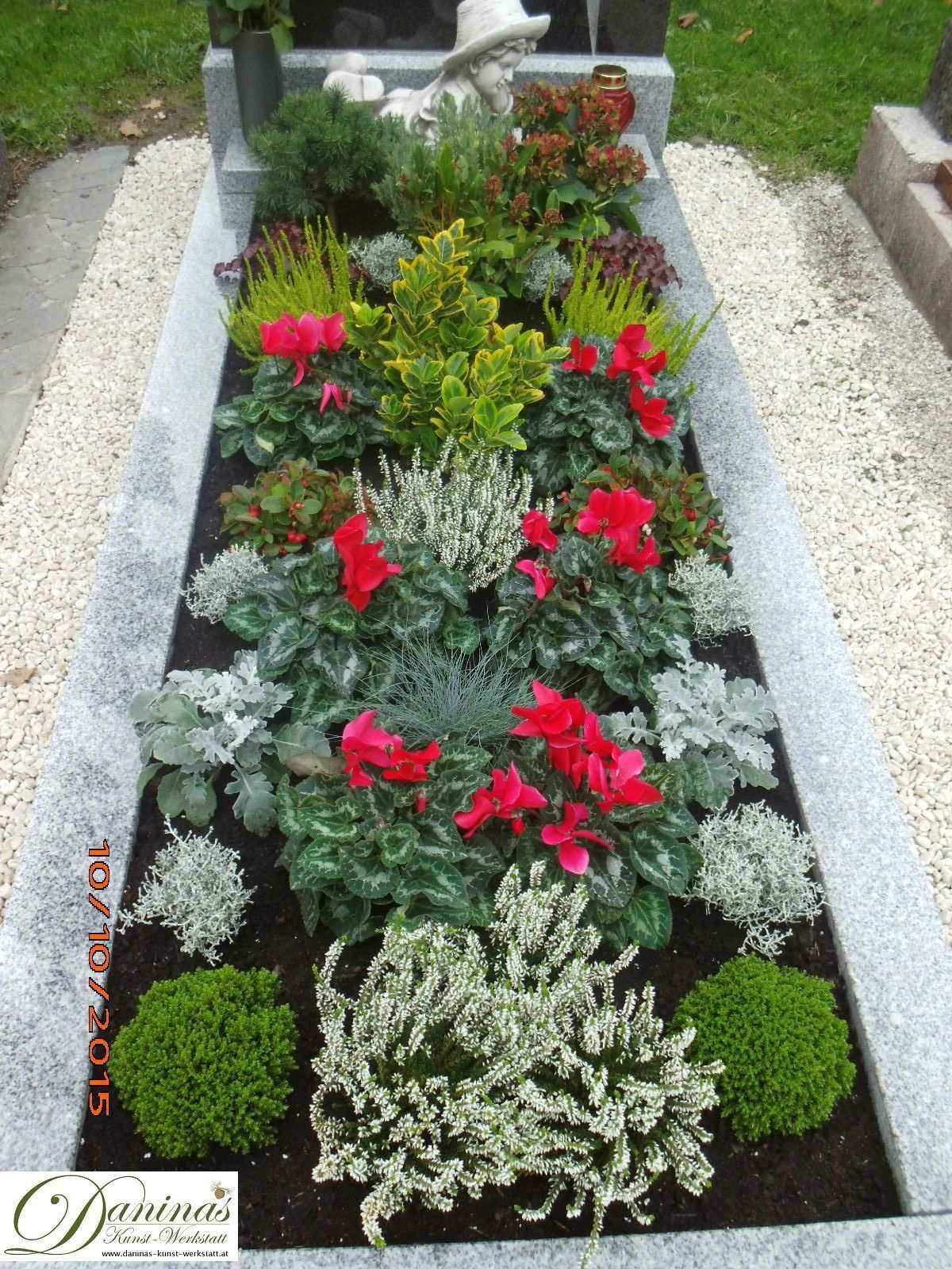 Травянистые растения на могилу. выбор растений для озеленения могилы | дачная жизнь