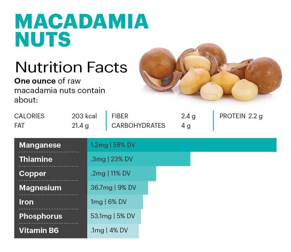 Орех макадамия: польза и вред дорогостоящего продукта.