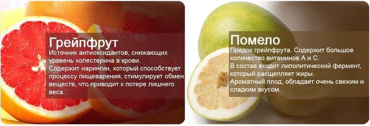 Грейпфрут (citrus paradisi). выращивание, формирование. | floplants. о комнатных растениях