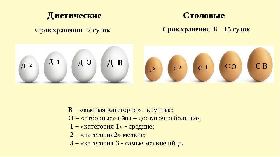 Белые и коричневые яйца: есть ли разница между ними