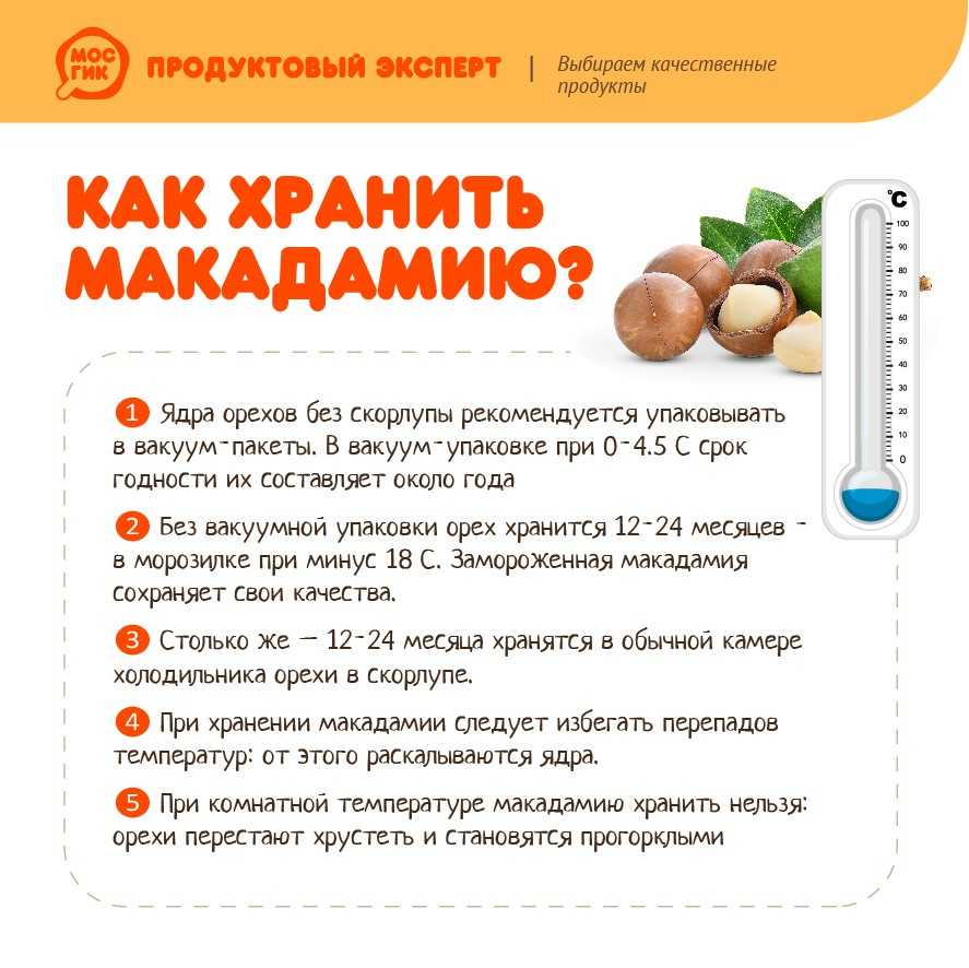 Орех макадамия: польза и вред для организма, сколько нужно съесть