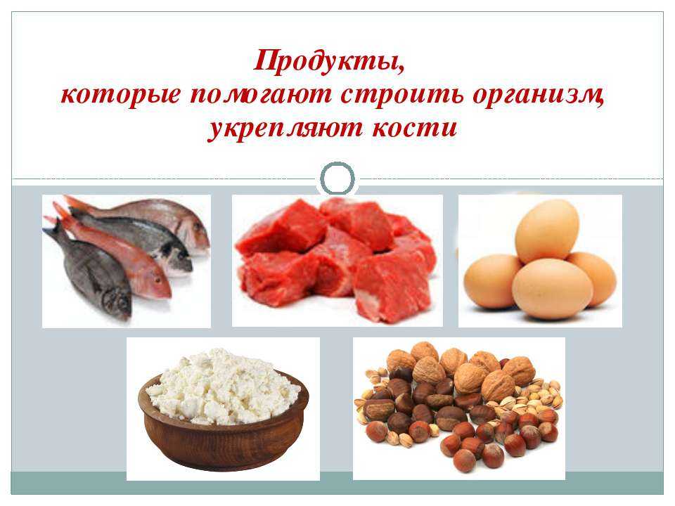 Посадка и свойства бузины черной, уход за растением