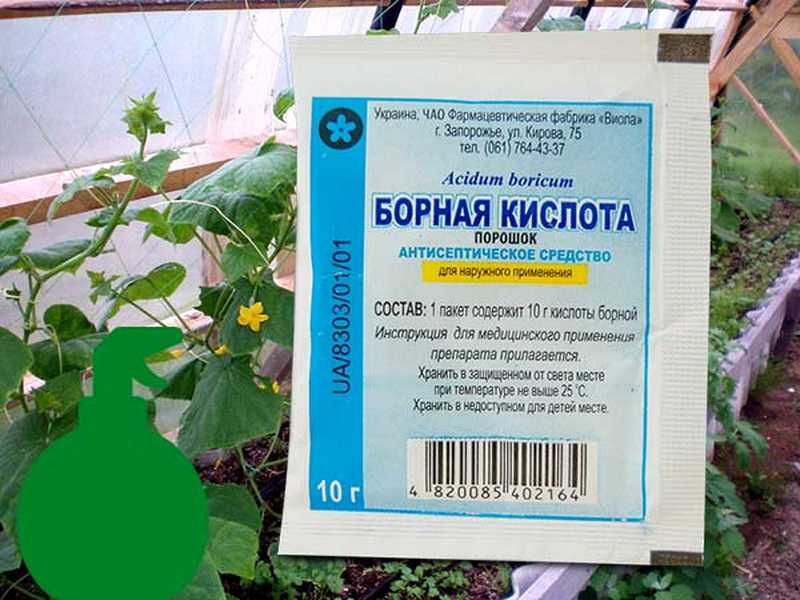 Борная кислота для растений: применение в саду и огороде